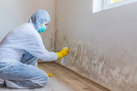 Best Mold Remediation for Healthcare Facilities  in Clinton, WA