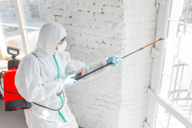 Best Forensic Mold Investigation  in Clinton, WA